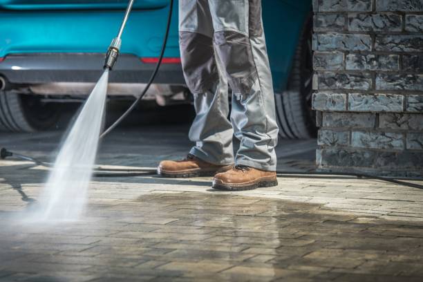 Best Winterizing Services  in Wabasso Beach, FL